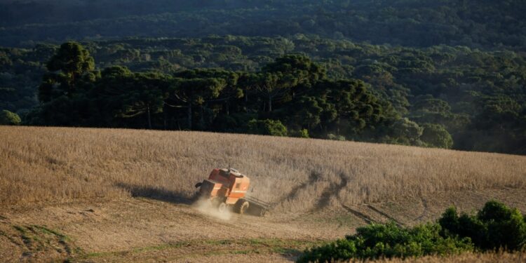 Sudamérica tendrá temperaturas elevadas en región amazónica: CIIFEN