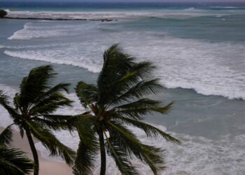 EN FOTOS I El Caribe se protege ante el paso del poderoso huracán Beryl