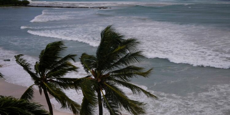 EN FOTOS I El Caribe se protege ante el paso del poderoso huracán Beryl