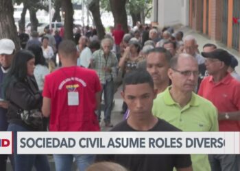 ONG y sociedad civil asumen roles diversos ante elecciones