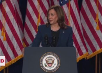 ¿Quién acompañaría a Kamala Harris en su candidatura?