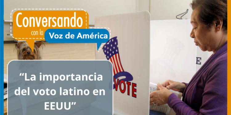 El voto latino y su importancia en las elecciones presidenciales 2024 en EEUU