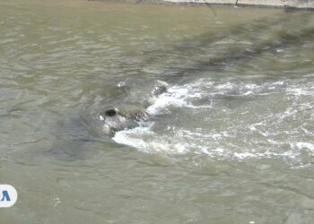 Sanear el río Guaire de Caracas, ¿podría ser realidad? 