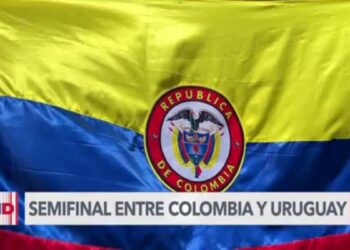 Aficionados cuentan cómo hicieron para asistir a semifinales de Copa América