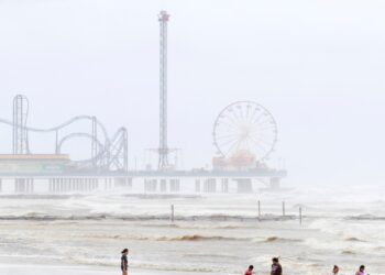 Autoridades de Florida prohibieron el uso de playas del sur del estado tras detectar niveles excesivos de contaminación fecal.