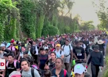 Cientos de migrantes buscan llegar a la frontera sur de EEUU antes de las elecciones