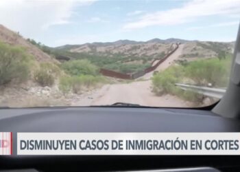 Disminuyen en EEUU los casos de inmigración, según informe