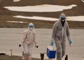 Cuatro personas que trabajan con aves en Colorado padecen gripe aviar, según confirmaron el domingo autoridades de Salud.