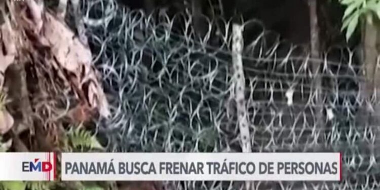 Panamá instala alambre de púas en la selva del Darién