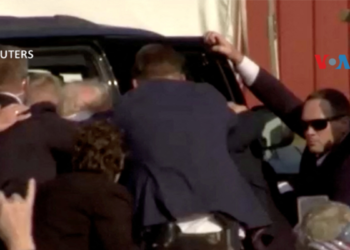 Las acciones de criptomonedas suben en virtud de teoría sobre probabilidades de victoria de Trump tras intento de asesinarlo