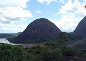 OPS y Banco Mundial impulsan el proyecto Protect para evitar las pandemias en la Amazonía