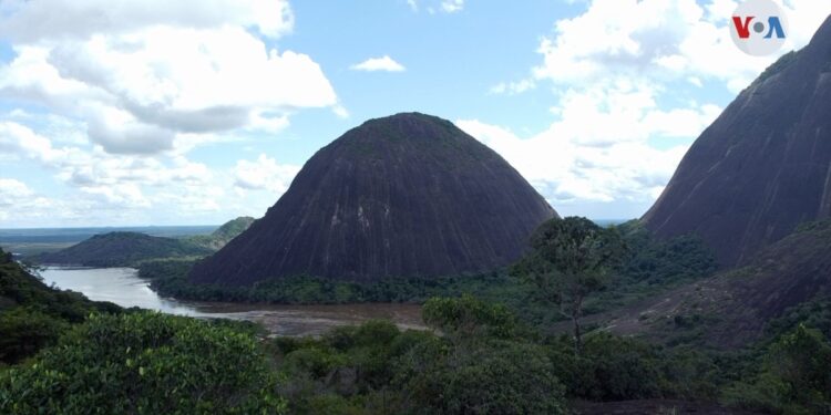 OPS y Banco Mundial impulsan el proyecto Protect para evitar las pandemias en la Amazonía