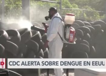 CDC alerta sobre un mayor riesgo de contagio de dengue en Estados Unidos