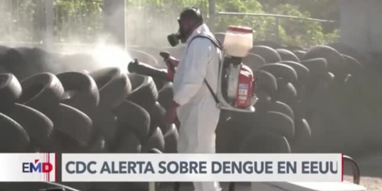CDC alerta sobre un mayor riesgo de contagio de dengue en Estados Unidos