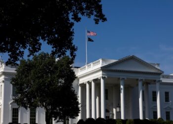 EEUU AL DIA | 07/08/2024