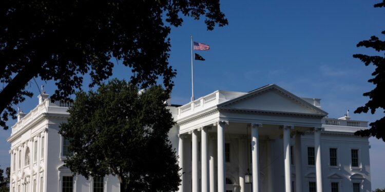 EEUU AL DIA | 07/08/2024