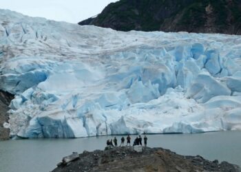 EEUU AL DIA ] 07/02/2024