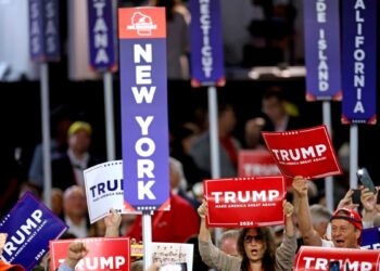 EEUU AL DIA | 07/15/2024