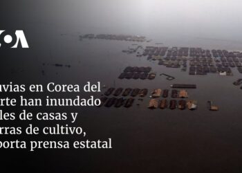 Lluvias en Corea del Norte han inundado miles de casas y tierras de cultivo, reporta prensa estatal