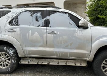 Cortan frenos del vehículo de Machado. Bloquean web de una ONG.