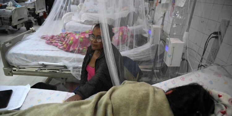 Expertos advierten de complicaciones por reinfección de dengue en Centroamérica