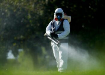 Autoridades sanitarias en El Salvador emitieron alerta epidemiológica por dengue