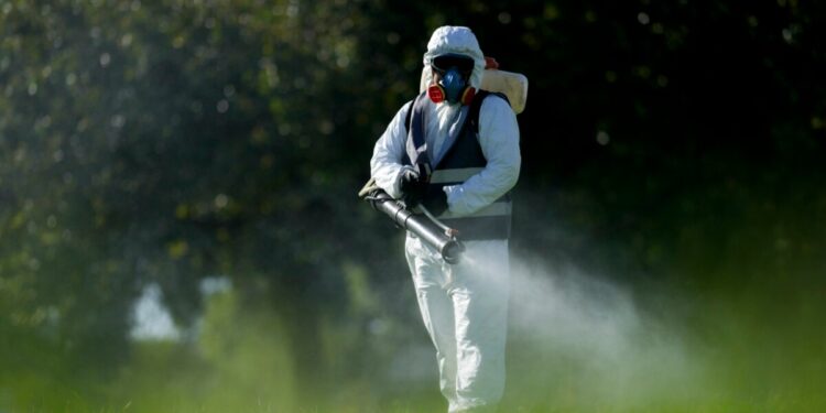 Autoridades sanitarias en El Salvador emitieron alerta epidemiológica por dengue