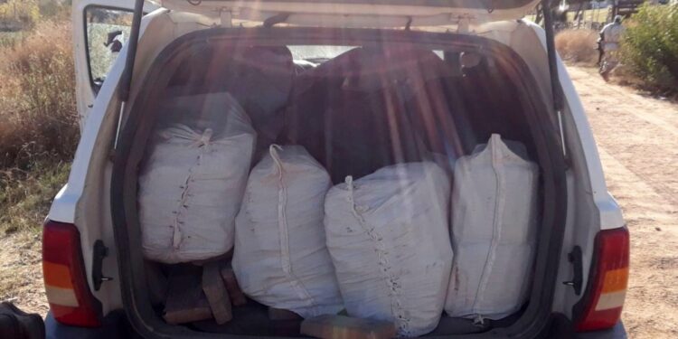 Cae bruscamente el decomiso de fentanilo en México este año