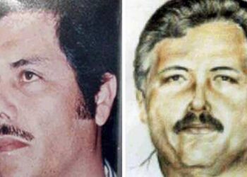 Años de narcotráfico y eludir la justicia terminaron el
jueves con el arresto en EEUU de Ismael “Mayo” Zambada