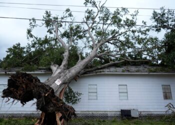 El huracán Beryl, llegó a la costa sur de Estados Unidos, donde al menos millón y medio de hogares y negocios quedaron sin electricidad.