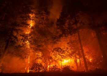 Más de cuatro mil bomberos trabajan en la contención del incendio forestal más grande reportado en lo que va del año en California.