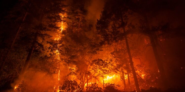 Más de cuatro mil bomberos trabajan en la contención del incendio forestal más grande reportado en lo que va del año en California.