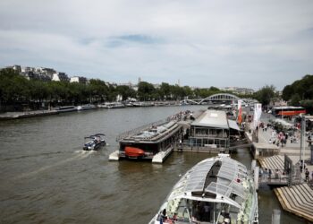 Rescatistas de animales trataban el sábado de mantener a decenas de delfines lejos de las aguas poco profundas que rodean Cape Cod.