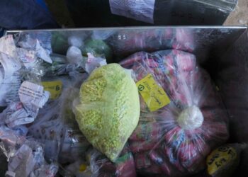 La policía sudafricana detiene a dos mexicanos tras descubrir un enorme laboratorio de metanfetamina