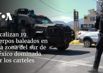 Localizan 19 cuerpos baleados en una zona del sur de México dominada por los carteles
