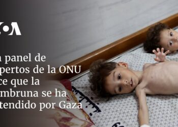 Panel de expertos de la ONU dice que la hambruna se ha extendido por Gaza