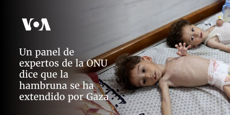 Panel de expertos de la ONU dice que la hambruna se ha extendido por Gaza