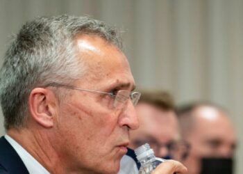 Los 32 países aliados de la OTAN se reúnen en la ciudad de Washington DC con mira puesta en preservar ampliamente la seguridad de Ucrania.