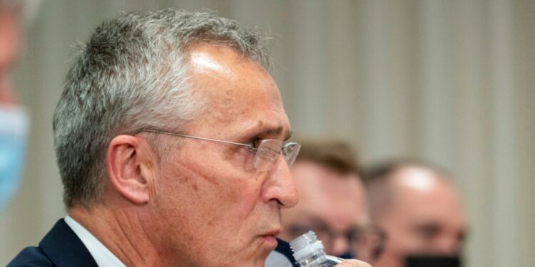 Los 32 países aliados de la OTAN se reúnen en la ciudad de Washington DC con mira puesta en preservar ampliamente la seguridad de Ucrania.