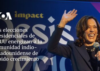 Elecciones presidenciales de EEUU energizan a una comunidad indio-estadounidense de rápido crecimiento