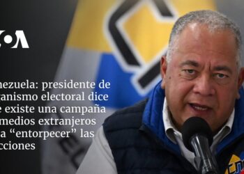 presidente de organismo electoral dice que existe una campaña de medios extranjeros para “entorpecer” las elecciones