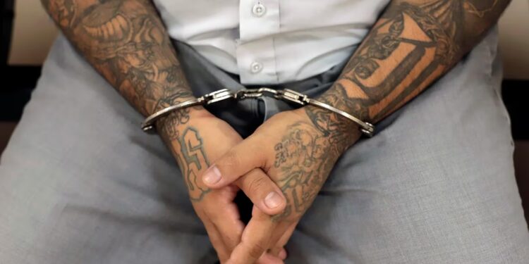 Condenaron a 1.420 años de cárcel a un pandillero en El Salvador