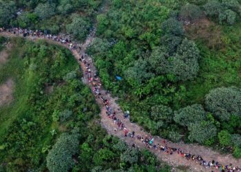 Panamá cierra tres pasos no autorizados en selva del Darién