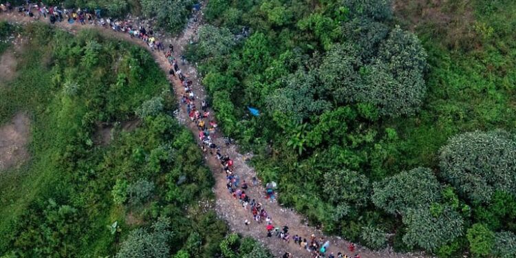 Panamá cierra tres pasos no autorizados en selva del Darién