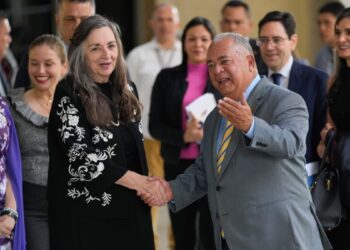 PSUV presentará actas al TSJ. Centro Carter desacredita la elección.