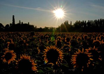 España enfrenta la primera ola de calor del año mientras el sur de Europa se asa
