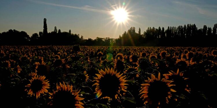 España enfrenta la primera ola de calor del año mientras el sur de Europa se asa