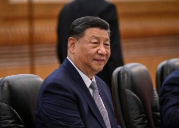 China se encamina a récord de importaciones de soja en julio por bajos precios, temores sobre Trump