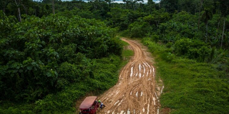 Comunidad amazónica de Perú denuncia aumento narcotráfico en sus tierras y amenazas tras muerte de su líder