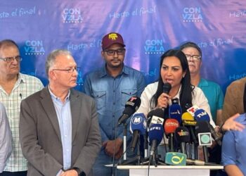 Oposición democrática llama a reforzar verificación ante bloqueo a observadores electorales